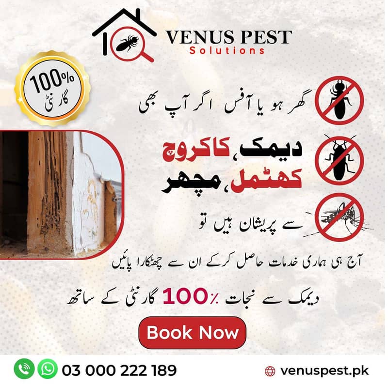 Affordable fumigation Treatment in Islamabad,Dengue Spray, Pest 10