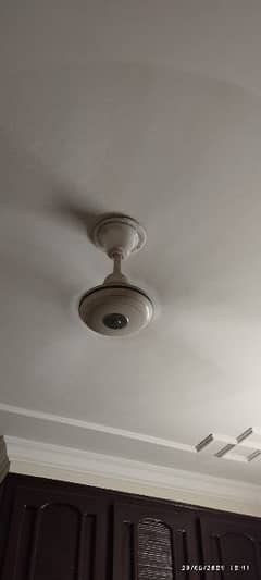 Ceiling Fan 56" (White) 0