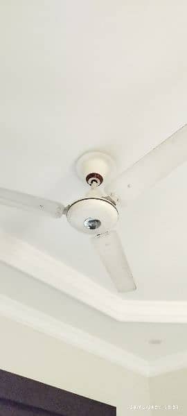 Ceiling Fan 56" (White) 1