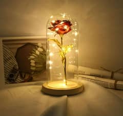 Forever Love Rose Lamp