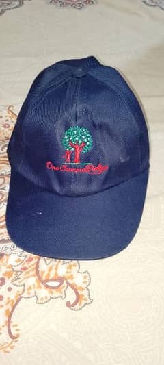 Caps / Hats for sale per piece price 150