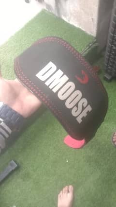 Dmoose