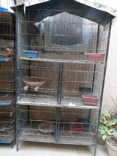 2 pigeon cage