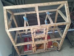 Australian Parrots (Budgie) and their cage for sale