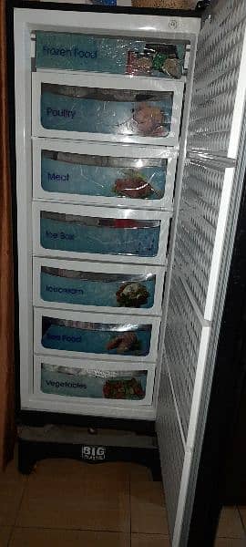 Dawlance Vertical Freezer 0