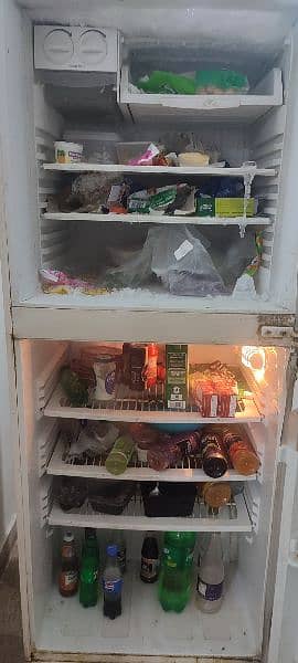Pel Arctic Refrigerator EXCELLENT cooling 1