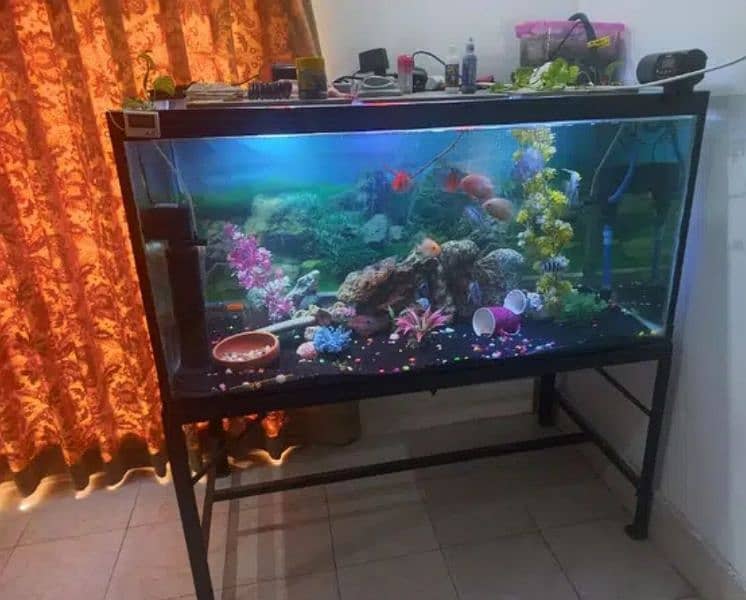 fish aquarium 4 feet 4