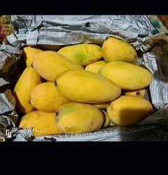 mangos available in low price