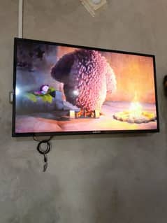 led smart 50inch for sell maltinet company