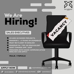 Sales Executive For UK Project