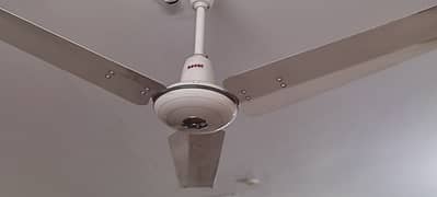 2 ceiling fan