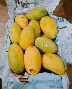 Seroly mango