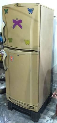 PEL Company - Refrigerator
