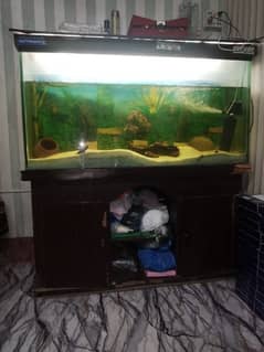 fish aquarium 4 feet