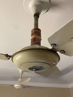 Apex Super Deluxe ceiling fan