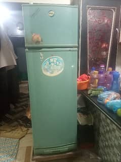 Pell Fridge Refrigerator