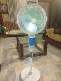 imported fan for sale
