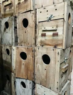 Lovebird Keekar Boxes double door