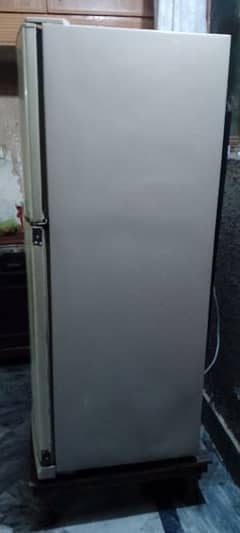fridge 2 door