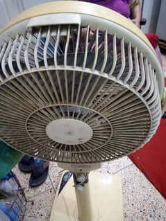 Pak fan pedestal fan