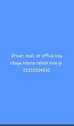 driver, mali, or office boy chaye