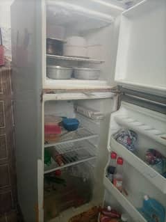 medium freezer