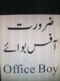 Job for Office Boy