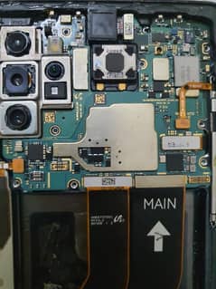 Samsung not 10 plus only board