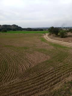 34 Kanal Agriculture Land For Sale