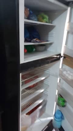 Pel Fridge refrigerator