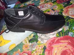 hush puppies black shoes. number 12/46