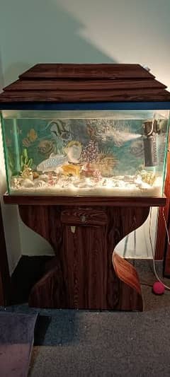 Fish Aquarium with Fishes