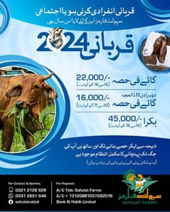 Qurbani 2024 | aasaan Qurbani | bull | Goat | Cow| ijtamai qurbani