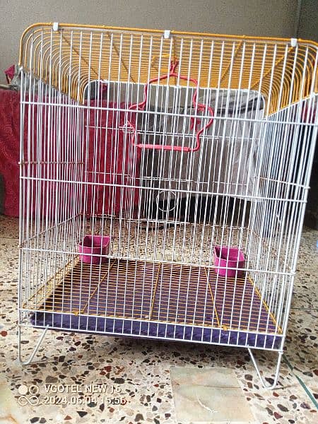 1 Hen Cage 1