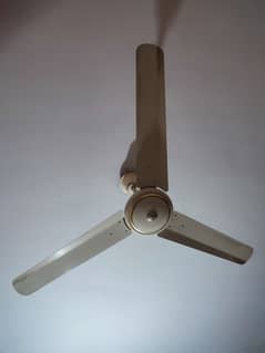 6 ceiling pak fan size 56 in new condition for 3000 and six for 18000