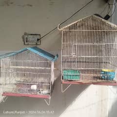 cages nd parrots for sale