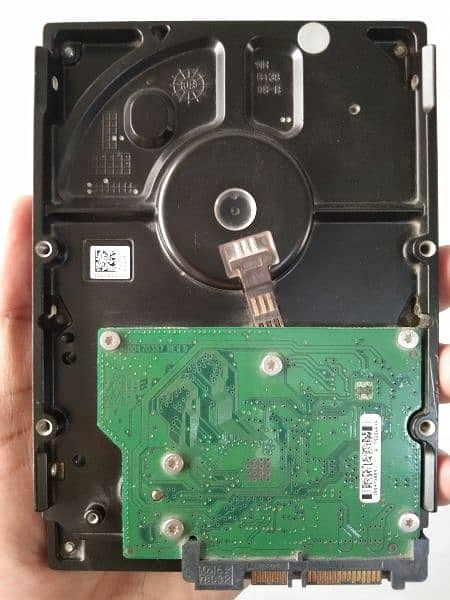 Hard Drive 1