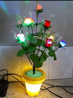 lights plants