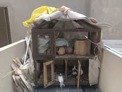 pegion for sale with wood cage