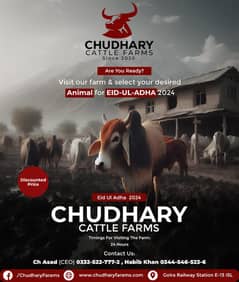 Chudhary Cattle Farm