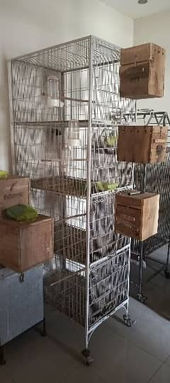 Love birds African grey cages