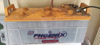 Well-Maintained 21 Plate Phoenix Battery for Sale Only 1.5 Years Old!
                                title=
