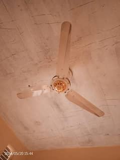 2 fancy master 100% copper ceiling fan just like new 5000 each