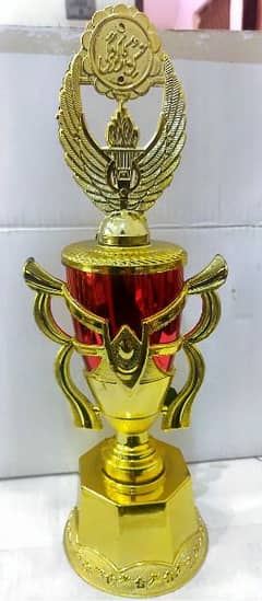 Golden plastic trophy 17cm size.