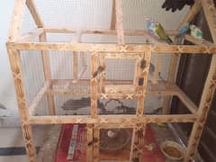 Australian Parrots (Budgie) and their cage for sale
