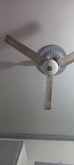 fans for sale