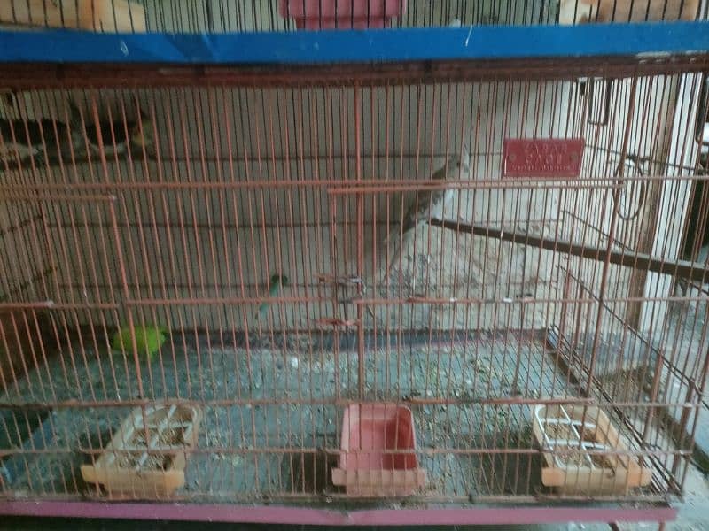 some cages of different sizes available for sale, see in details 0