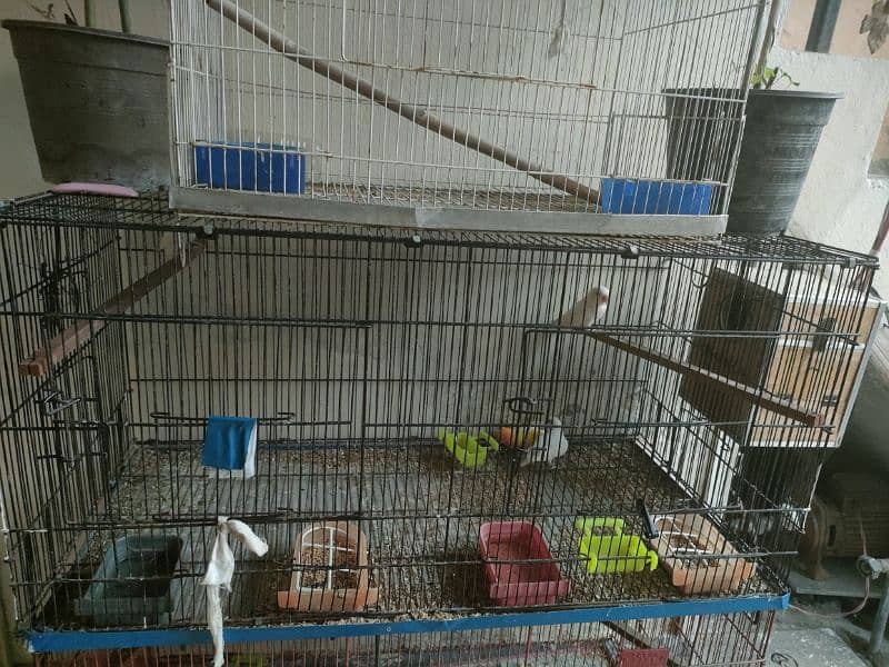 some cages of different sizes available for sale, see in details 1