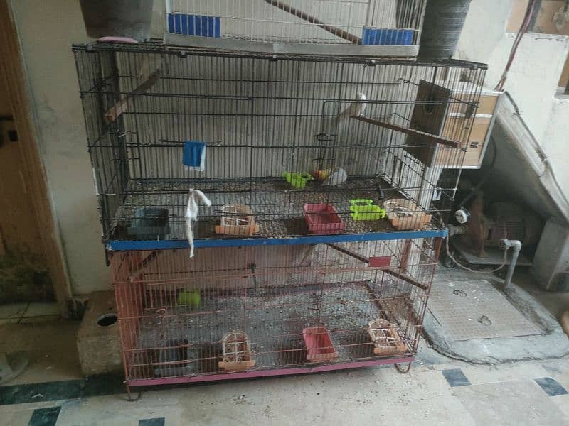 some cages of different sizes available for sale, see in details 2