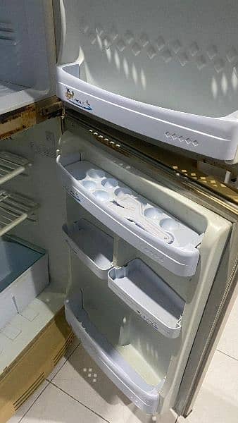 Pel fridge for sell 7